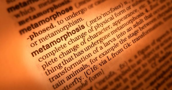 tezin-bolumleri-neden-onemlidir